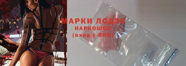 ГАЛЛЮЦИНОГЕННЫЕ ГРИБЫ Кулебаки