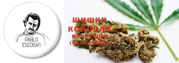 ГАЛЛЮЦИНОГЕННЫЕ ГРИБЫ Кулебаки