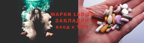 ГАЛЛЮЦИНОГЕННЫЕ ГРИБЫ Кулебаки