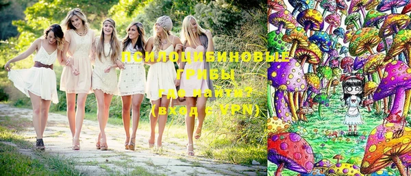 ГАЛЛЮЦИНОГЕННЫЕ ГРИБЫ Кулебаки