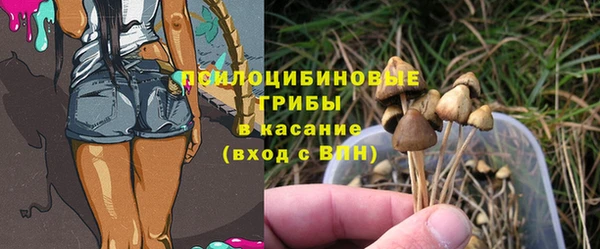 ГАЛЛЮЦИНОГЕННЫЕ ГРИБЫ Кулебаки