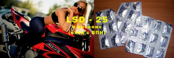 ГАЛЛЮЦИНОГЕННЫЕ ГРИБЫ Кулебаки